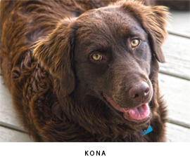 Kona