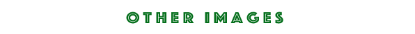 corporate writing