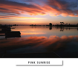 Pink Sunrise