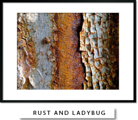 Rust and Ladybug