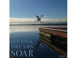 Soar
