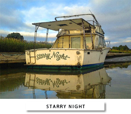 StarryNight